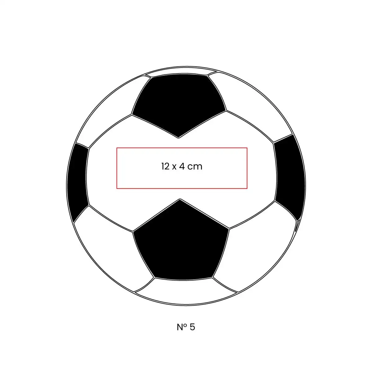 5. Balón deportivo de PVC